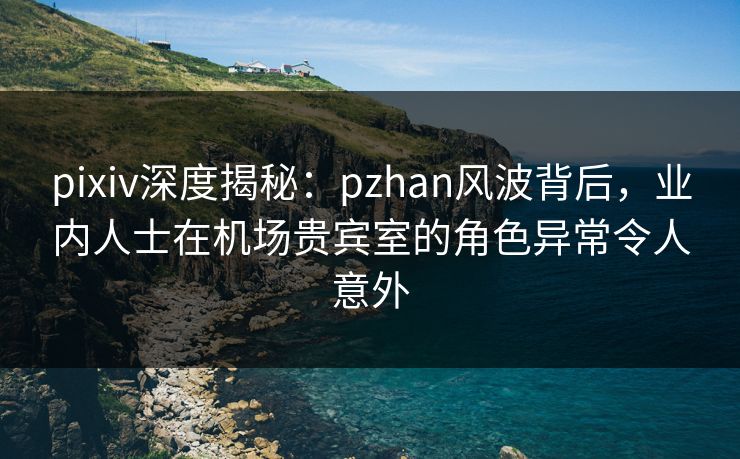 pixiv深度揭秘：pzhan风波背后，业内人士在机场贵宾室的角色异常令人意外