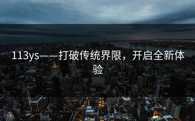 113ys——打破传统界限，开启全新体验