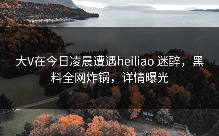 大V在今日凌晨遭遇heiliao 迷醉，黑料全网炸锅，详情曝光