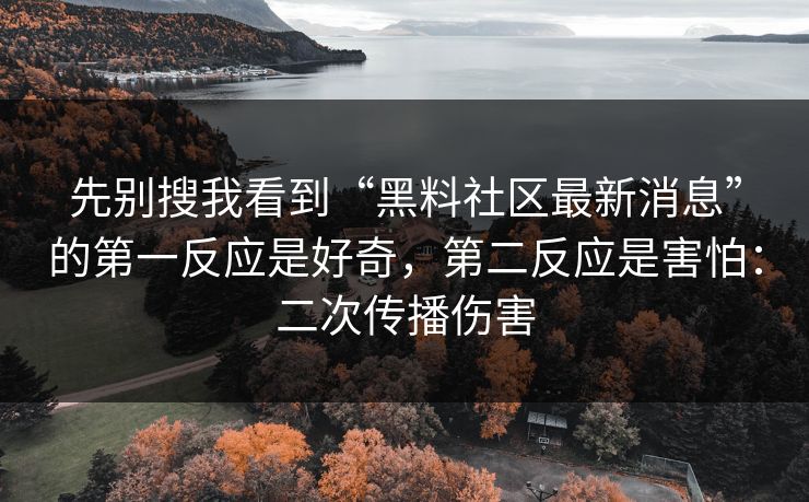 先别搜我看到“黑料社区最新消息”的第一反应是好奇，第二反应是害怕：二次传播伤害