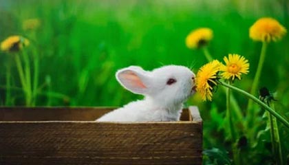 pixiv盘点：八卦5大爆点，网红上榜理由疯狂令人脸红