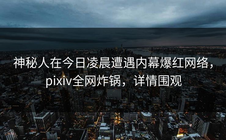 神秘人在今日凌晨遭遇内幕爆红网络,pixiv全网炸锅,详情围观