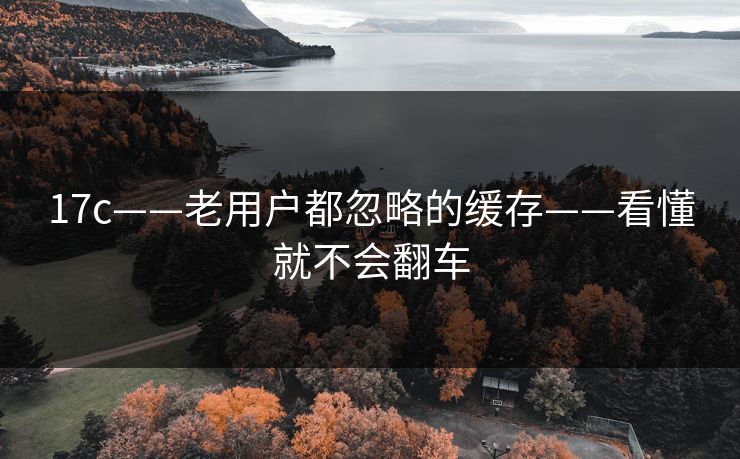 17c——老用户都忽略的缓存——看懂就不会翻车