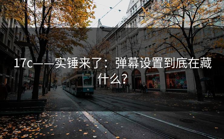 17c——实锤来了:弹幕设置到底在藏什么?